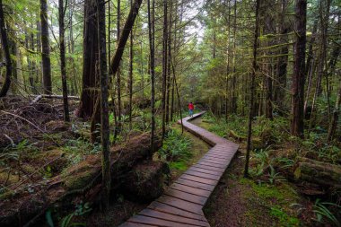 Vahşi bir ormanda tahta bir patikada yürüyen kırmızı paltolu bir kadın. Tofino ve Ucluelet yakınlarında, Vancouver Adası, Bc, Kanada.