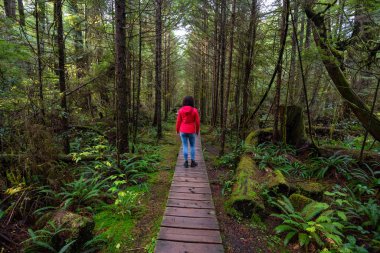 Vahşi bir ormanda tahta bir patikada yürüyen kırmızı paltolu bir kadın. Tofino ve Ucluelet yakınlarında, Vancouver Adası, Bc, Kanada.