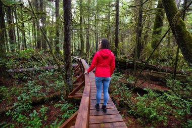 Vahşi bir ormanda tahta bir patikada yürüyen kırmızı paltolu bir kadın. Tofino ve Ucluelet yakınlarında, Vancouver Adası, Bc, Kanada.
