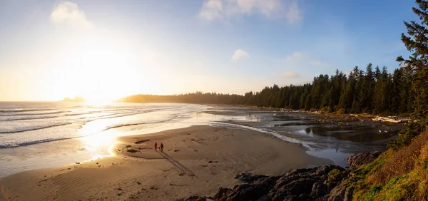 Long Beach Tofino Ucluelet Vancouver Island Kanada Piękny Widok Piaszczystą — Zdjęcie stockowe