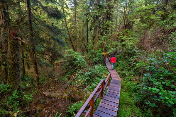 Mulher Vestindo Casaco Vermelho Andando Caminho Madeira Uma Floresta Selvagem — Fotografia de Stock