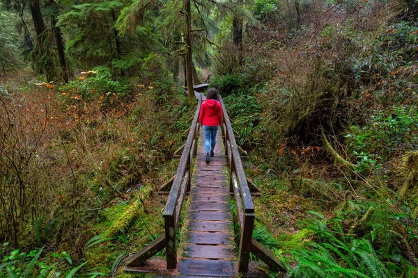 Mulher Vestindo Casaco Vermelho Andando Caminho Madeira Uma Floresta Selvagem — Fotografia de Stock