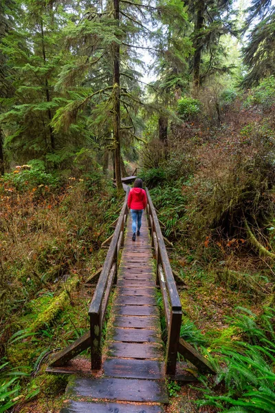 Vahşi Bir Ormanda Tahta Bir Patikada Yürüyen Kırmızı Paltolu Bir — Stok fotoğraf