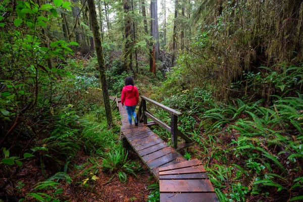 Mulher Vestindo Casaco Vermelho Andando Caminho Madeira Uma Floresta Selvagem — Fotografia de Stock