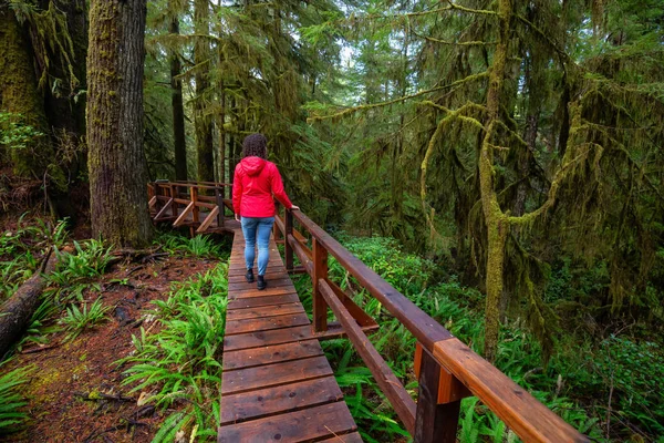 Egy Vörös Kabátos Aki Egy Ösvényen Sétál Egy Vad Erdőben — Stock Fotó
