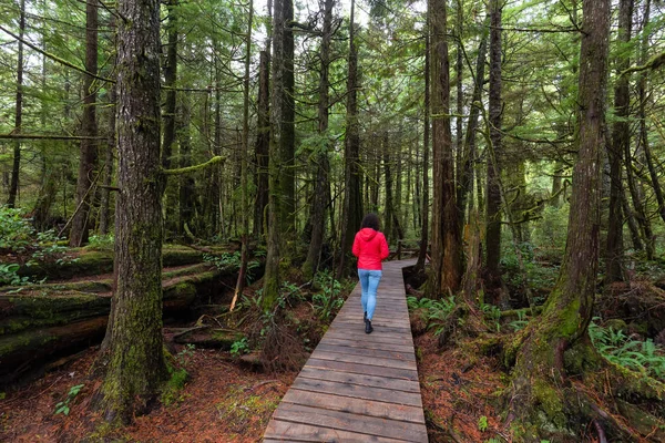 Mujer Vestida Con Abrigo Rojo Caminando Por Camino Madera Bosque — Foto de Stock