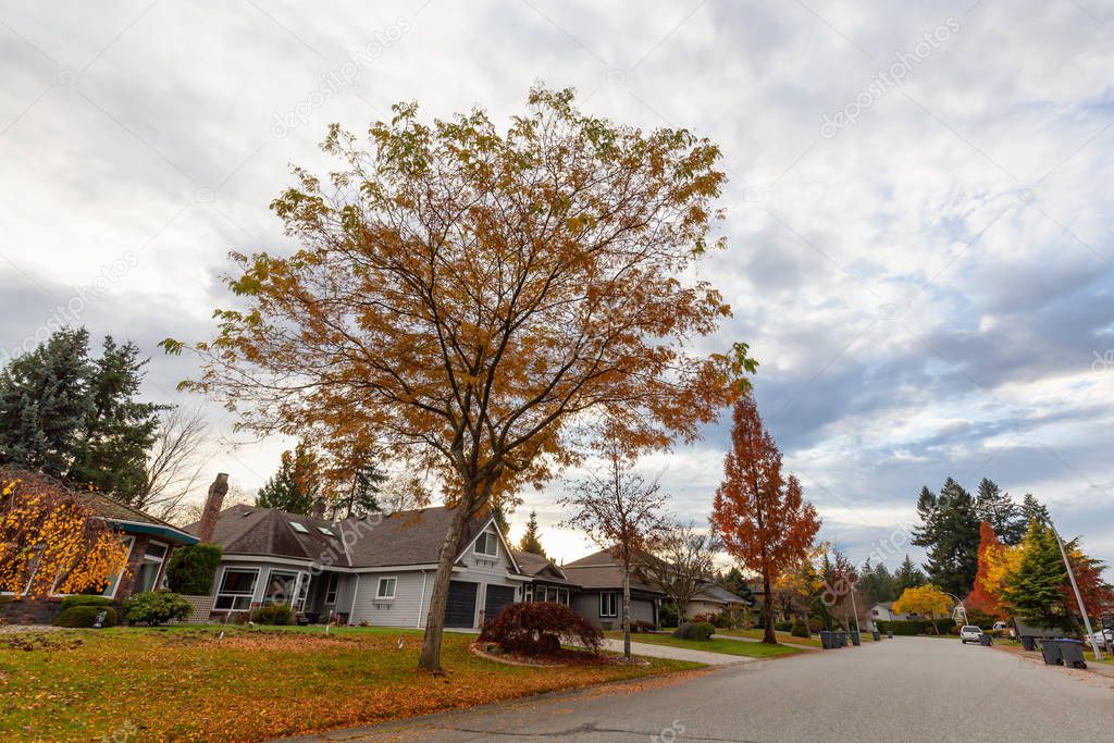 Fraser Heights, Surrey, Greater Vancouver, BC, Canada. Beautiful Street view in the Residential Neighborhood during a colorful Autumn Season and cloudy sunset sky.
