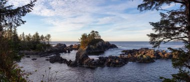 Wild Pacific Trail, Ucluelet, Vancouver Adası, Bc, Kanada. Güzel Panoramik Manzara Rocky Okyanusu Sahili Renkli ve canlı bir sabah güneşi altında.