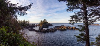 Wild Pacific Trail, Ucluelet, Vancouver Adası, Bc, Kanada. Güzel Panoramik Manzara Rocky Okyanusu Sahili Renkli ve canlı bir sabah güneşi altında.