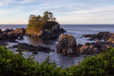 Wild Pacific Trail, Ucluelet, Vancouver Adası, Bc, Kanada. Renkli ve canlı bir gün doğumu sırasında Rocky Okyanus Kıyısı 'nın güzel manzarası.