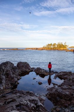 Wild Pacific Trail, Ucluelet, Vancouver Adası, Bc, Kanada. Rocky Okyanus Kıyısı 'nın Güzel Manzarası' nın keyfini çıkarın. Renkli ve canlı bir sabah güneşi doğarken..