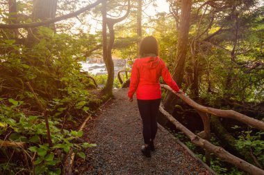 Canlı, renkli bir gündoğumu sırasında okyanus kıyısında güzel bir manzarayla ormanda yürüyen maceraperest kız. Wild Pacific Trail, Ucluelet, Vancouver Adası, Bc, Kanada.