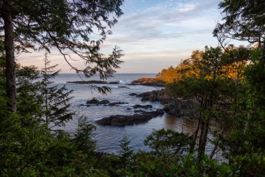 Wild Pacific Trail, Ucluelet, Vancouver Adası, Bc, Kanada. Renkli ve canlı bir gün doğumu sırasında Rocky Okyanus Kıyısı 'nın güzel manzarası.