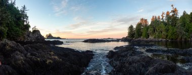 Wild Pacific Trail, Ucluelet, Vancouver Adası, Bc, Kanada. Güzel Panoramik Manzara Rocky Okyanusu Sahili Renkli ve canlı bir sabah güneşi altında.