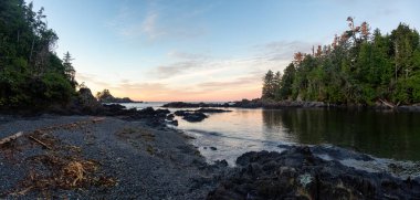 Wild Pacific Trail, Ucluelet, Vancouver Adası, Bc, Kanada. Güzel Panoramik Manzara Rocky Okyanusu Sahili Renkli ve canlı bir sabah güneşi altında.