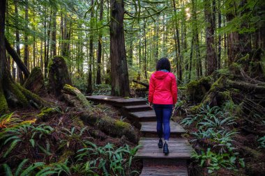 Kennedy Gölü 'ne uzanan renkli yeşil ağaçlarla ormandaki güzel tahta yolda yürüyen maceraperest kız. Tofino, Vancouver Adası, Bc, Kanada yakınlarında çekilmiş..