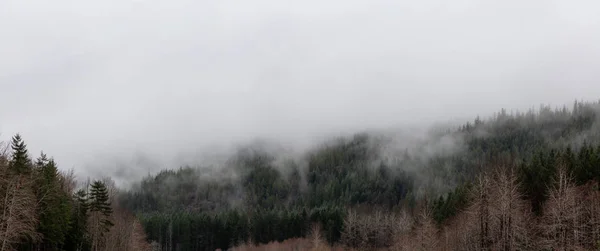 Piękny Panoramiczny Widok Kanadyjski Krajobraz Przyrody Pochmurny Dzień Zabrane Między — Zdjęcie stockowe