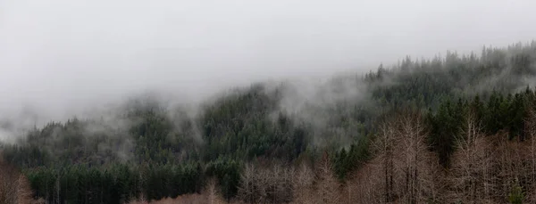 Beautiful Panoramic View Canadian Nature Landscape Cloudy Day Taken Tofino — ストック写真