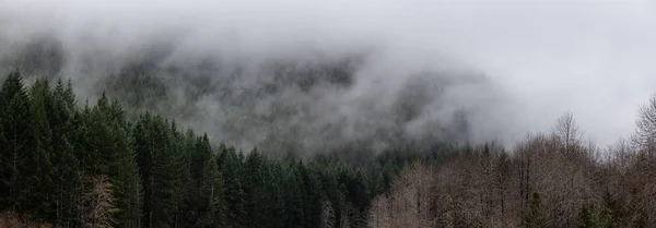 Beautiful Panoramic View Canadian Nature Landscape Cloudy Day Taken Tofino — ストック写真