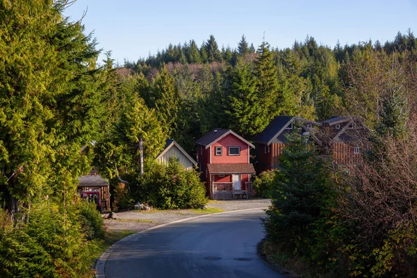 Sunny Sunrise Residential Neighborhood Small Town Ucluelet Autumn Season Located — ストック写真