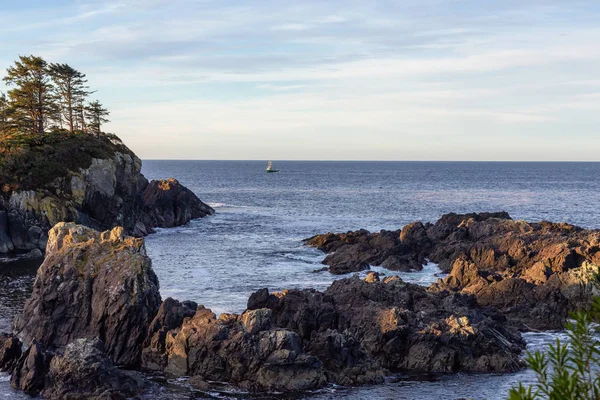 Wild Pacifc Trail Ucluelet Vancouver Island Canada Beautiful View Rocky — Stock Photo, Image