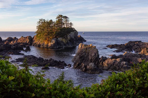 Wild Pacifc Trail Ucluelet Vancouver Island Canada Beautiful View Rocky — Stock Photo, Image