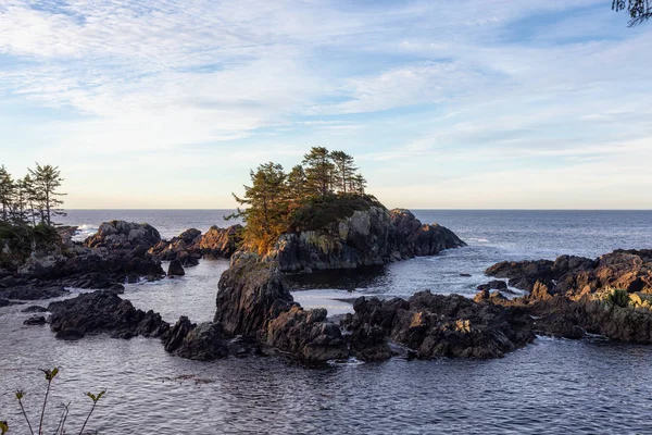 Wild Pacifc Trail Ucluelet Vancouver Island Canadá Bela Vista Costa — Fotografia de Stock