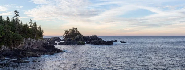 Wild Pacifc Trail Ucluelet Vancouver Island Kanada Krásný Výhled Pobřeží — Stock fotografie