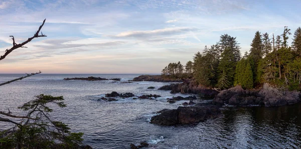 Wild Pacifc Trail Ucluelet Vancouver Island Canadá Bela Vista Costa — Fotografia de Stock