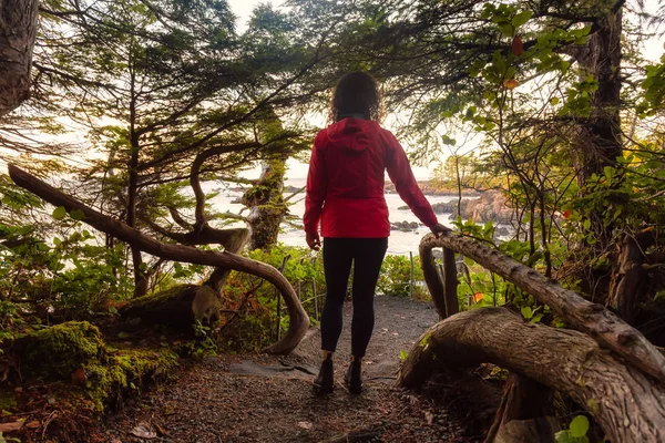 冒险的女孩走在一个森林里 在一个充满活力的五彩缤纷的日出中 看到了美丽的海洋海岸风景 Wild Pacifc Trail Ucluelet Vancouver Island Canada — 图库照片