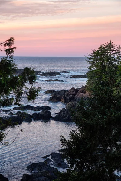 Wild Pacifc Trail Ucluelet Île Vancouver Canada Belle Vue Sur — Photo