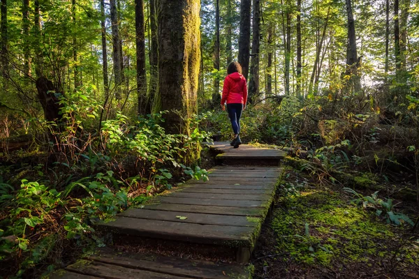 Adventurous Girl Walking Beautiful Wooden Path Woods Colorful Green Trees — ストック写真