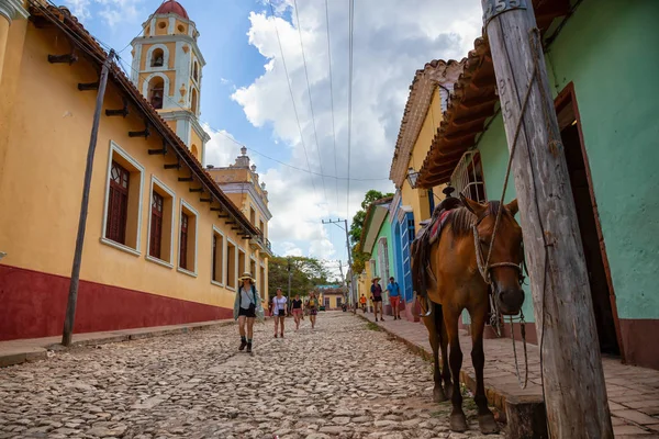 Trynidad Kuba Czerwca 2019 Koń Ulicach Małego Kubańskiego Miasteczka Podczas — Zdjęcie stockowe