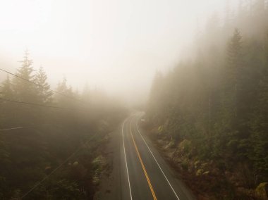 Sisli ve güneşli bir günde manzaralı bir yol manzarası. Vancouver Adası 'nın batı kıyısında, Tofino ve Ucluelet yakınlarında, British Columbia, Kanada.