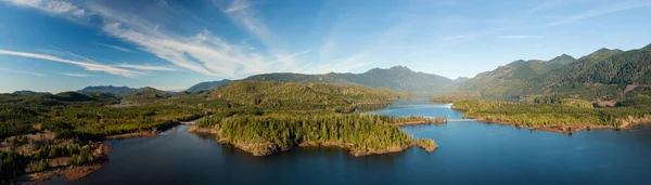 Vacker Antenn Panoramautsikt Över Kennedy Lake Pulserande Solig Dag Beläget — Stockfoto