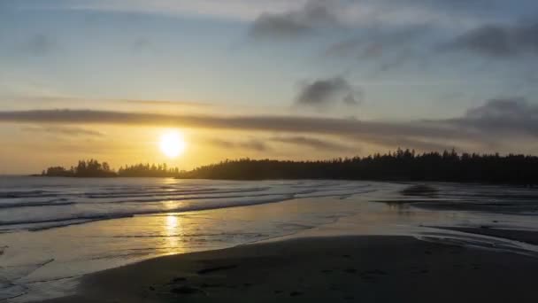 Lång strandremsa, nära Tofino — Stockvideo