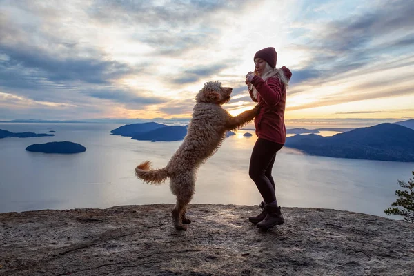 Chica aventurera Senderismo en la cima de una montaña con un perro — Foto de Stock