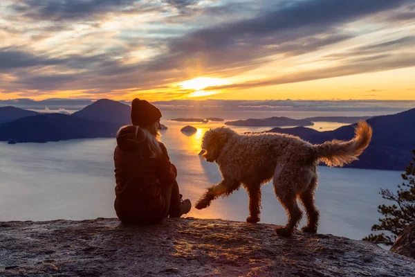 Adventurosa menina Caminhadas no topo de uma montanha com um cão — Fotografia de Stock