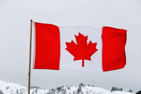 Bandeira canadense na natureza — Fotografia de Stock