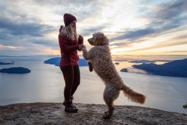 Maceracı Kız bir köpekle dağın tepesinde yürüyüş yapıyor.