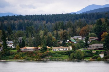 Campbell Nehri, Vancouver Adası, British Columbia, Kanada