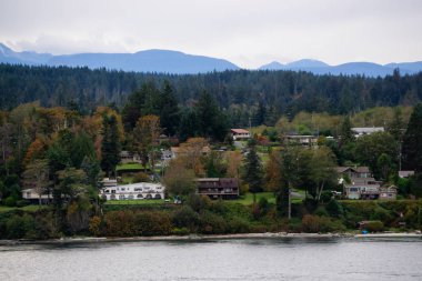Campbell Nehri, Vancouver Adası, British Columbia, Kanada