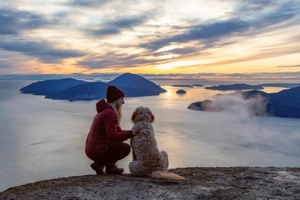 Девочка-туристка на вершине горы с собакой — стоковое фото