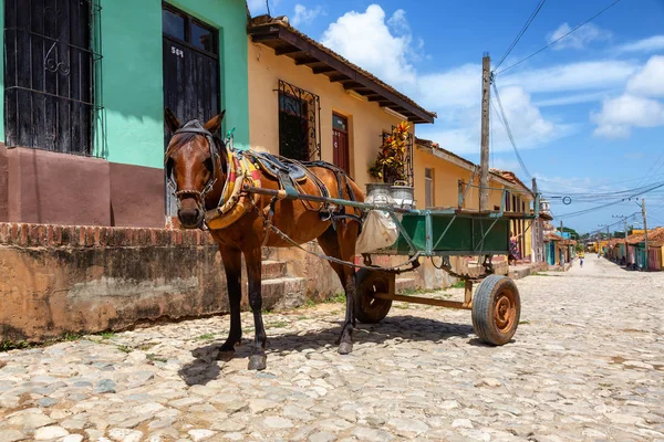 Calles Viejas de Trinidad, Cuba —  Fotos de Stock