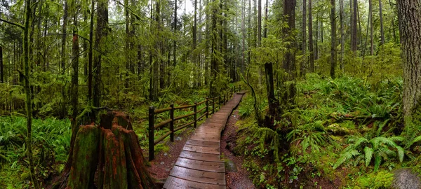 Lynn Canyon Park, North Vancouver, British Columbia, Canadá — Fotografia de Stock