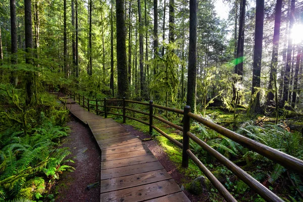 Lynn Canyon Park, North Vancouver, Columbia Británica, Canadá — Foto de Stock