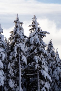 Whistler, British Columbia, Kanada