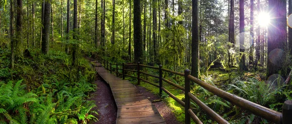 Lynn Canyon Park, North Vancouver, British Columbia, Canadá — Fotografia de Stock