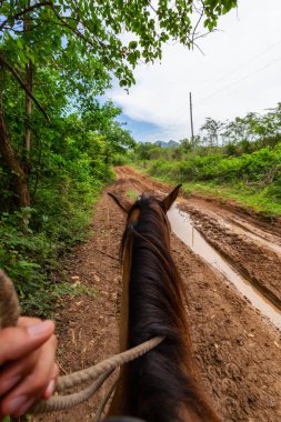 Trinidad, Küba 'da At Biniciliği
