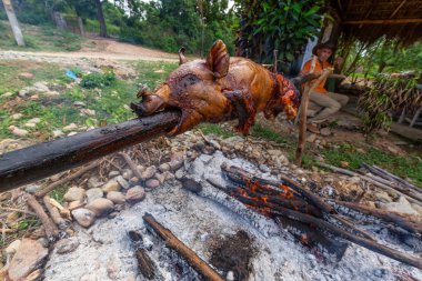 Köy tarafında ateşte kızartılmış domuz.